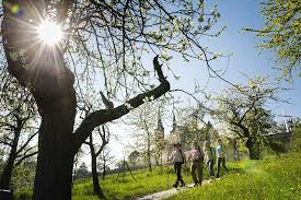 St. Michael's Pilgrimage Trail